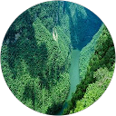 Patou Patou Patou Patou